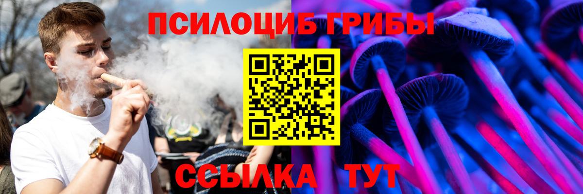 Псилоцибиновые грибы мицелий  Вход с VPN  Железногорск 